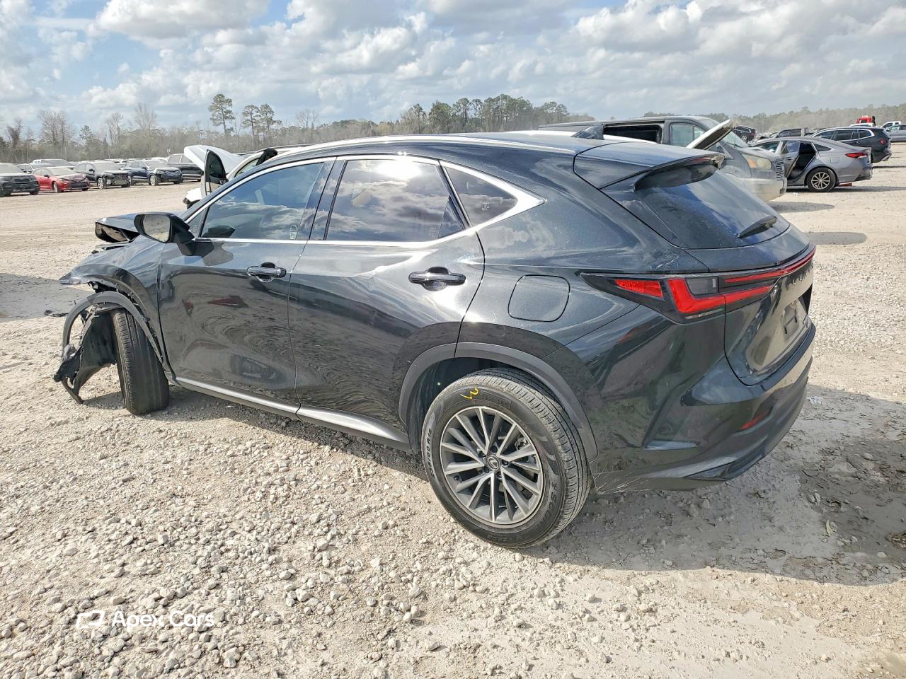 Lexus NX 2024
