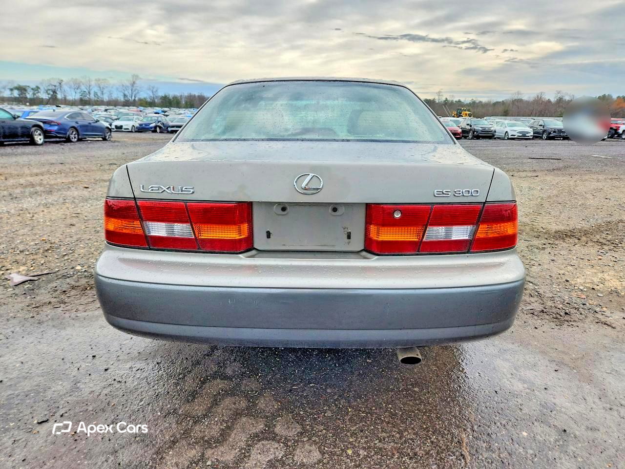 Lexus ES 1999