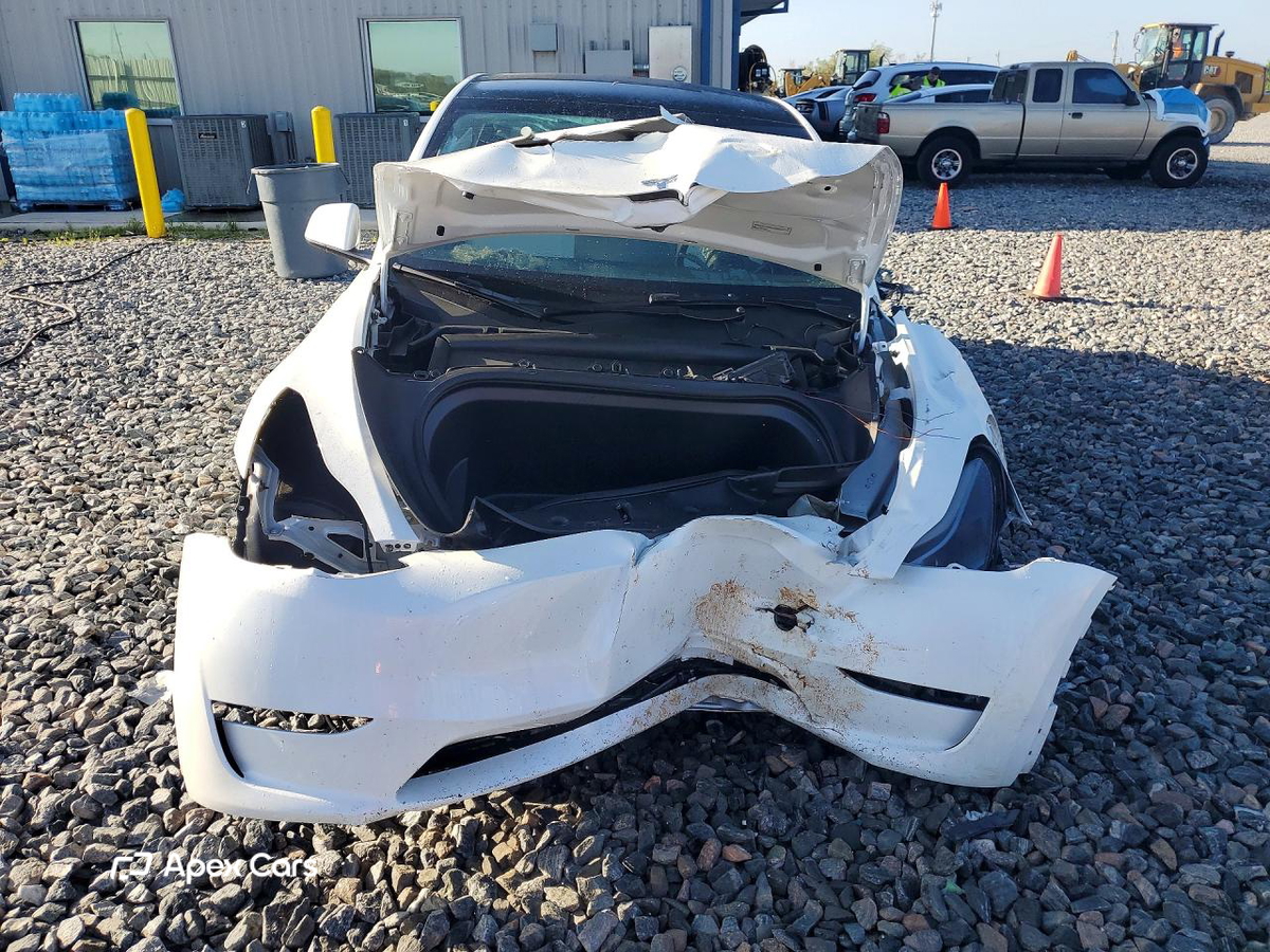 Tesla Model Y 2025
