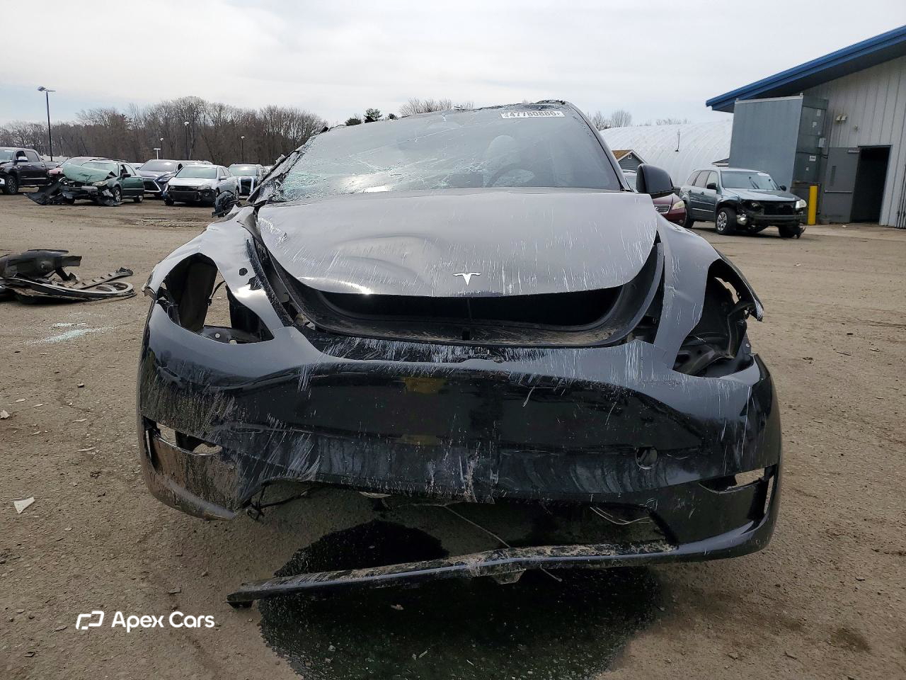 Tesla Model Y 2024