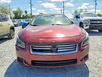 Nissan Maxima 2013