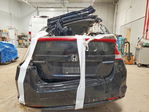 Honda Insight 2010