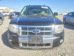 Ford Escape 2011