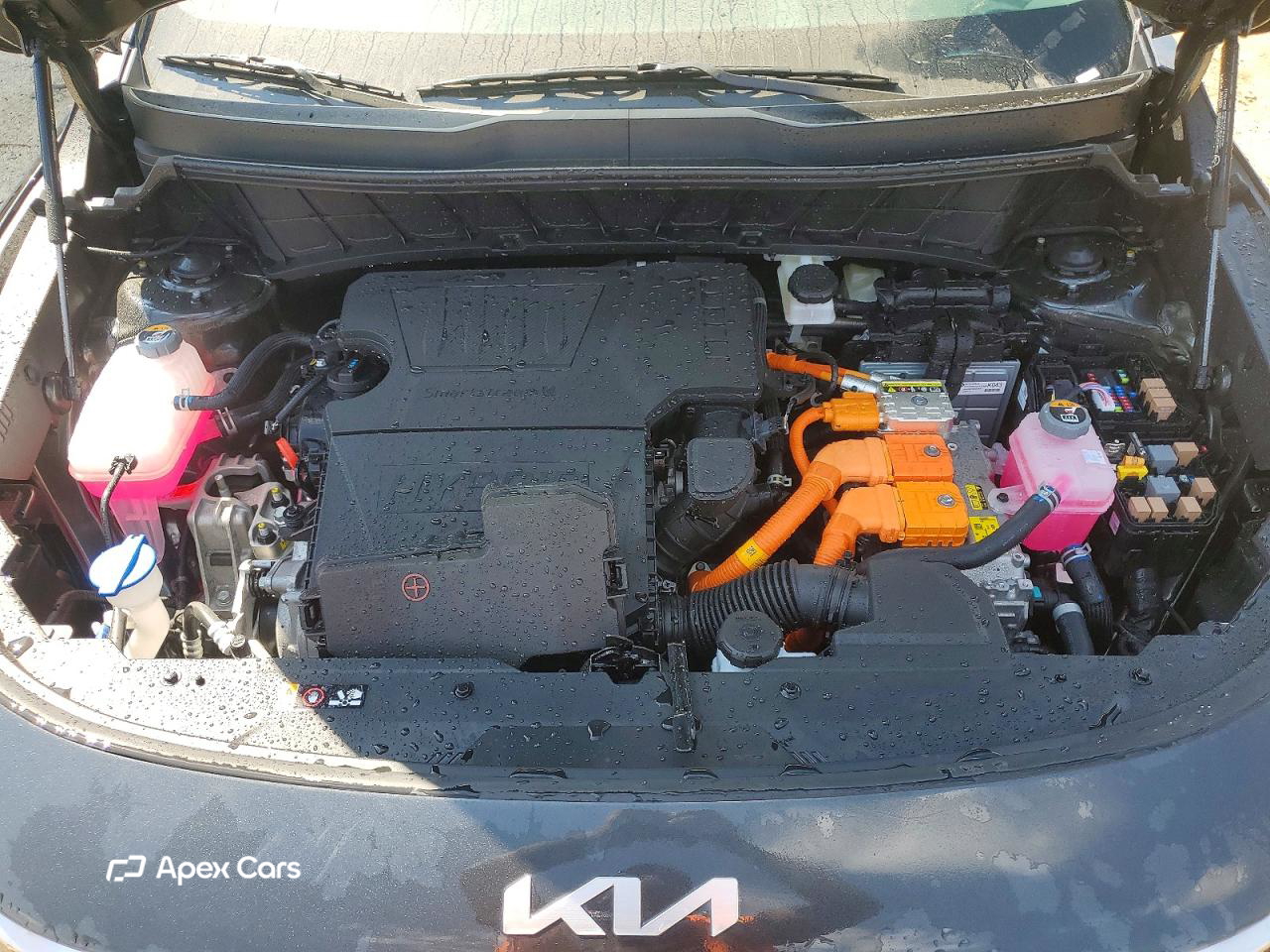 Kia Niro 2026