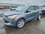 Ford Escape 2014