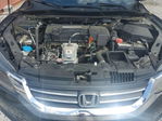 Honda Accord 2013