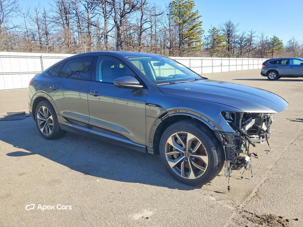 Audi e-tron 2021