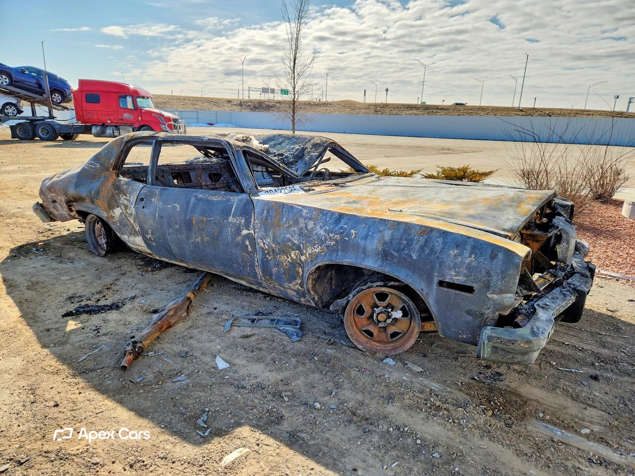 Oldsmobile Omega 1974
