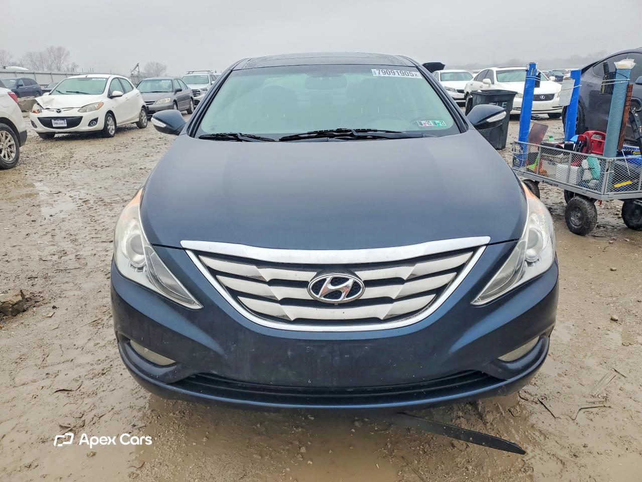 Hyundai Sonata 2013