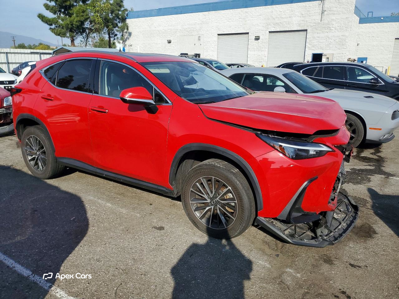 Lexus NX 2022