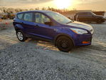 Ford Escape 2016
