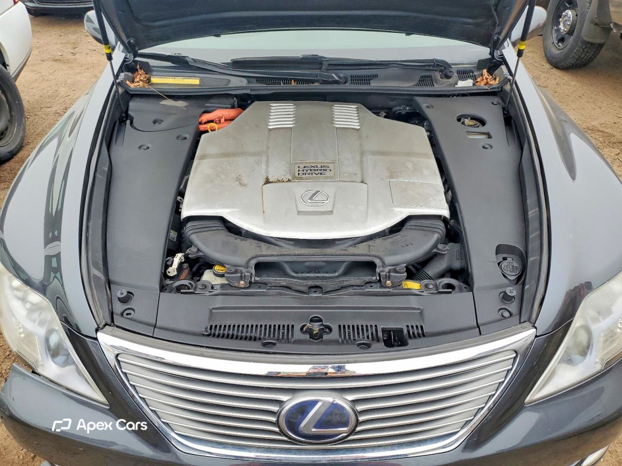 Lexus LS 2008