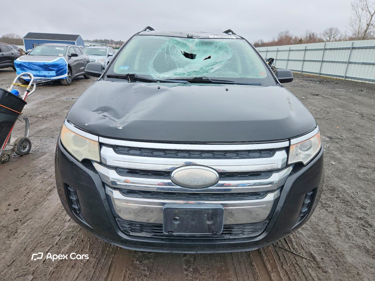 Ford Edge 2011