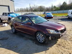 Honda Accord 2011