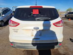 Ford Escape 2016