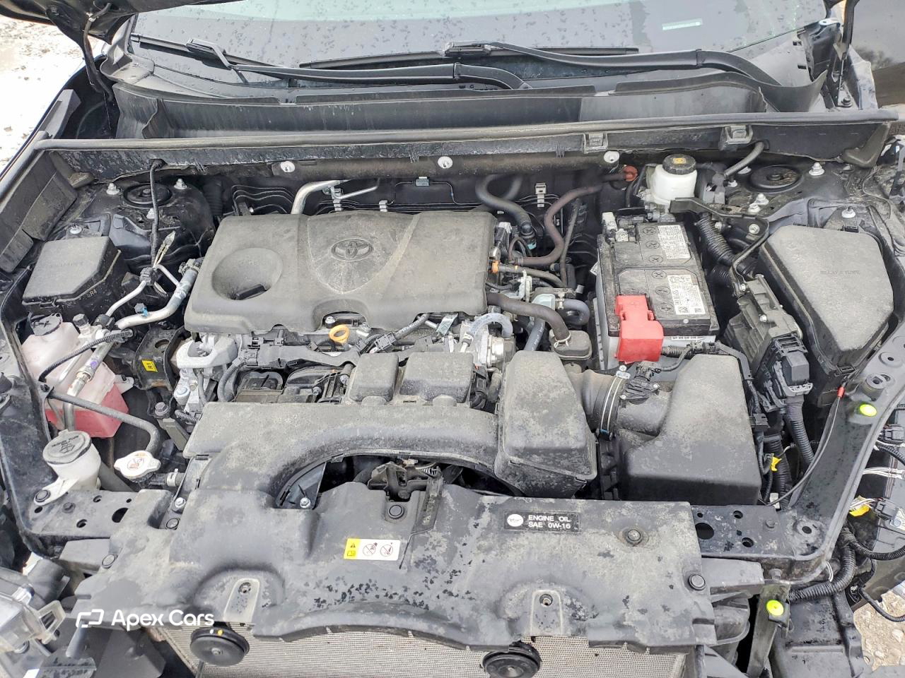 Toyota RAV 4 2024