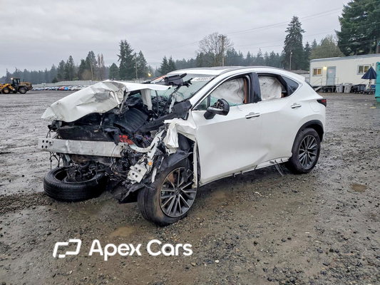 Lexus NX 2024 - Zdjęcie 1 z 14