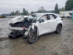 Lexus NX 2024