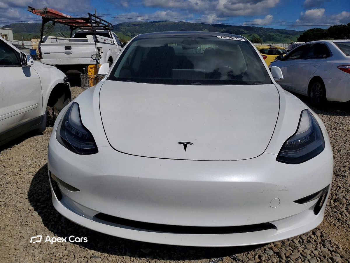 Tesla Model 3 2019