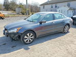 Honda Accord 2010