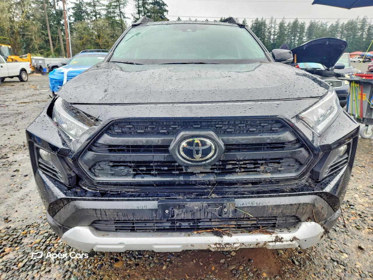 Toyota RAV 4 2019