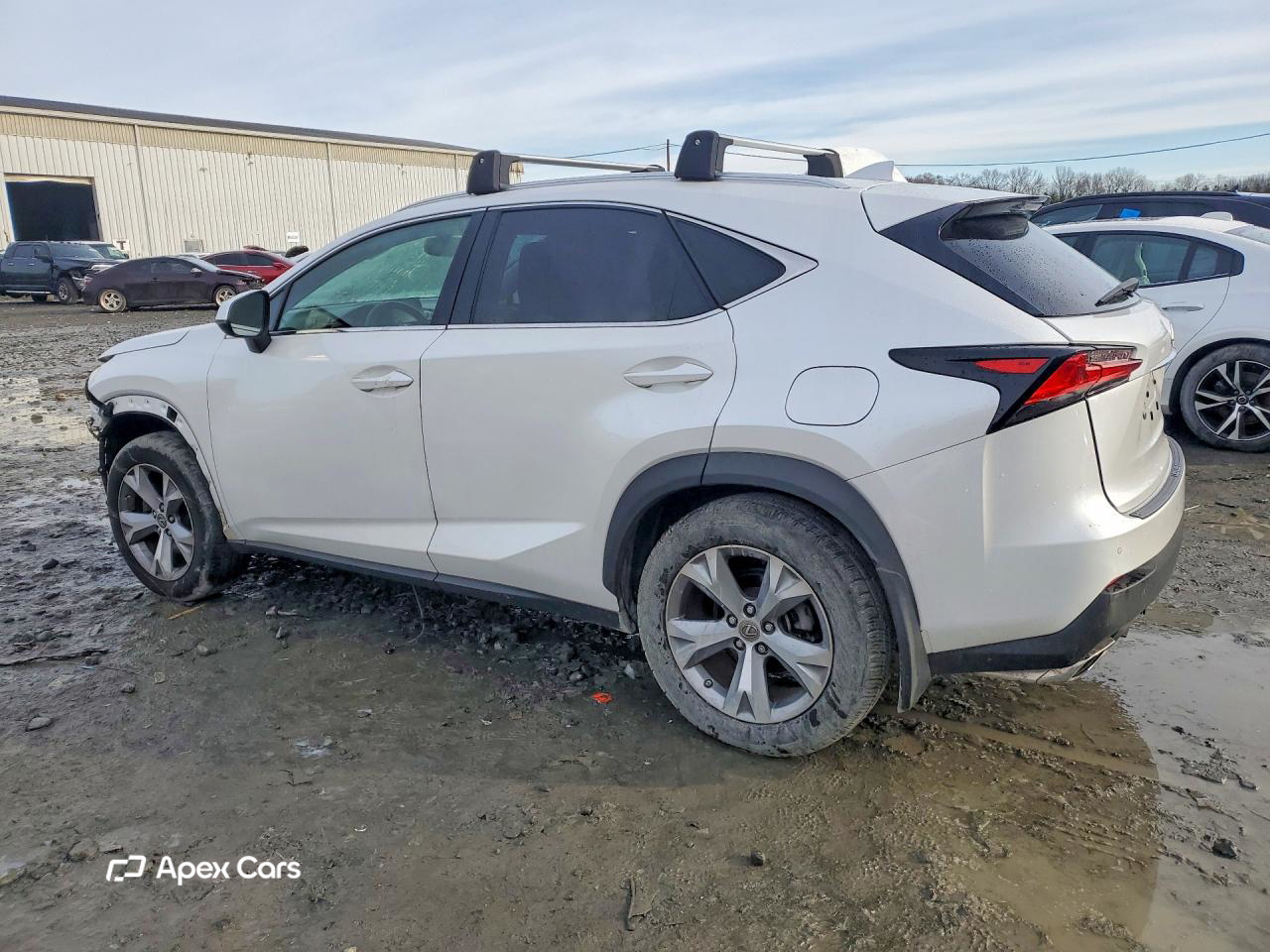 Lexus NX 2017