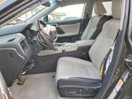 Lexus RX 2019