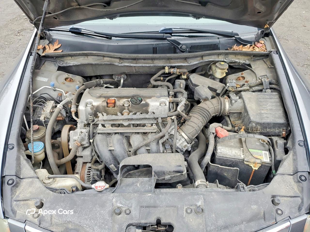 Honda Accord 2010