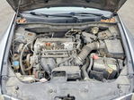 Honda Accord 2010