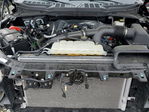Ford F-150 2024