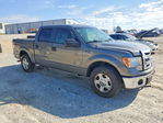 Ford F-150 2013