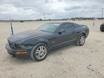 Ford Mustang 2005