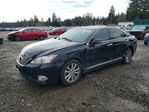 Lexus ES 2010