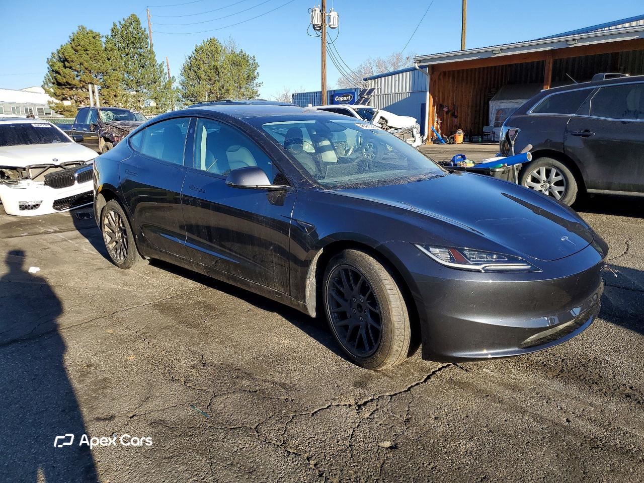 Tesla Model 3 2025