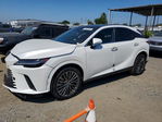 Lexus  2026