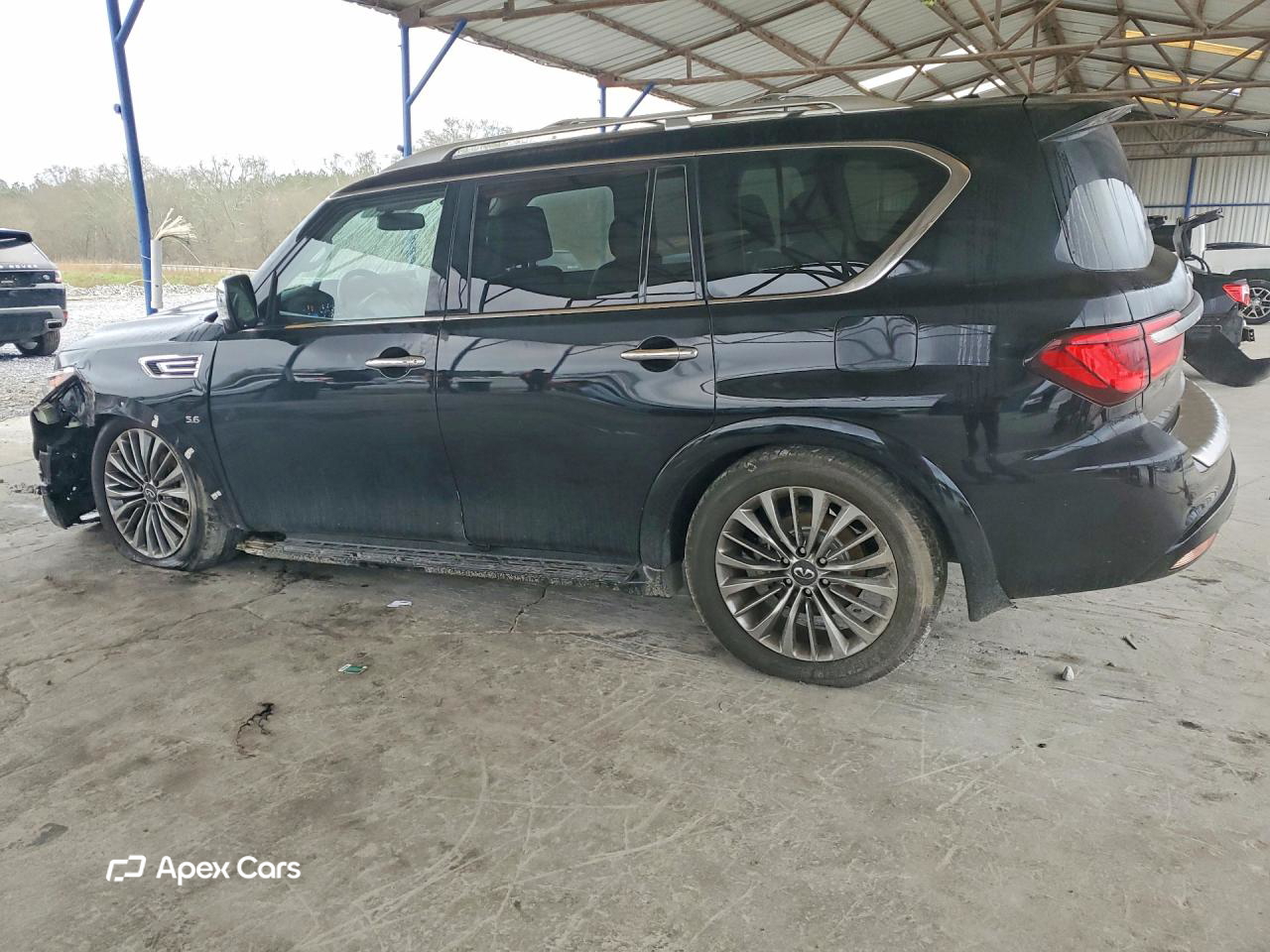 Infiniti QX80 2019