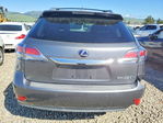 Lexus RX 2013