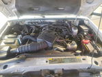 Ford Ranger 2010