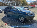 Lexus NX 2021