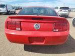 Ford Mustang 2007