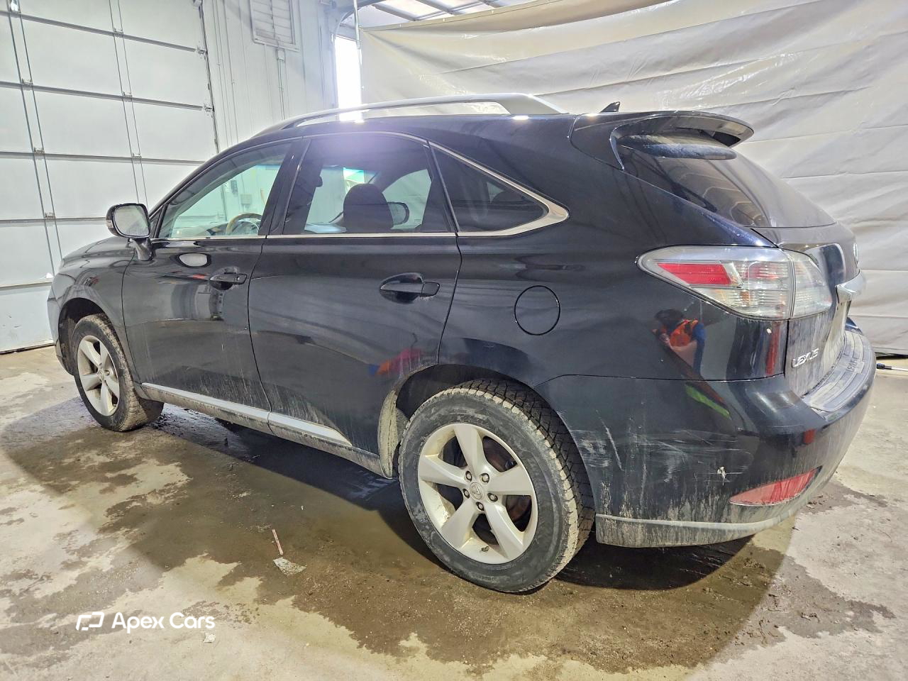 Lexus RX 2010