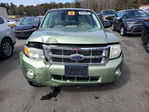 Ford Escape 2008
