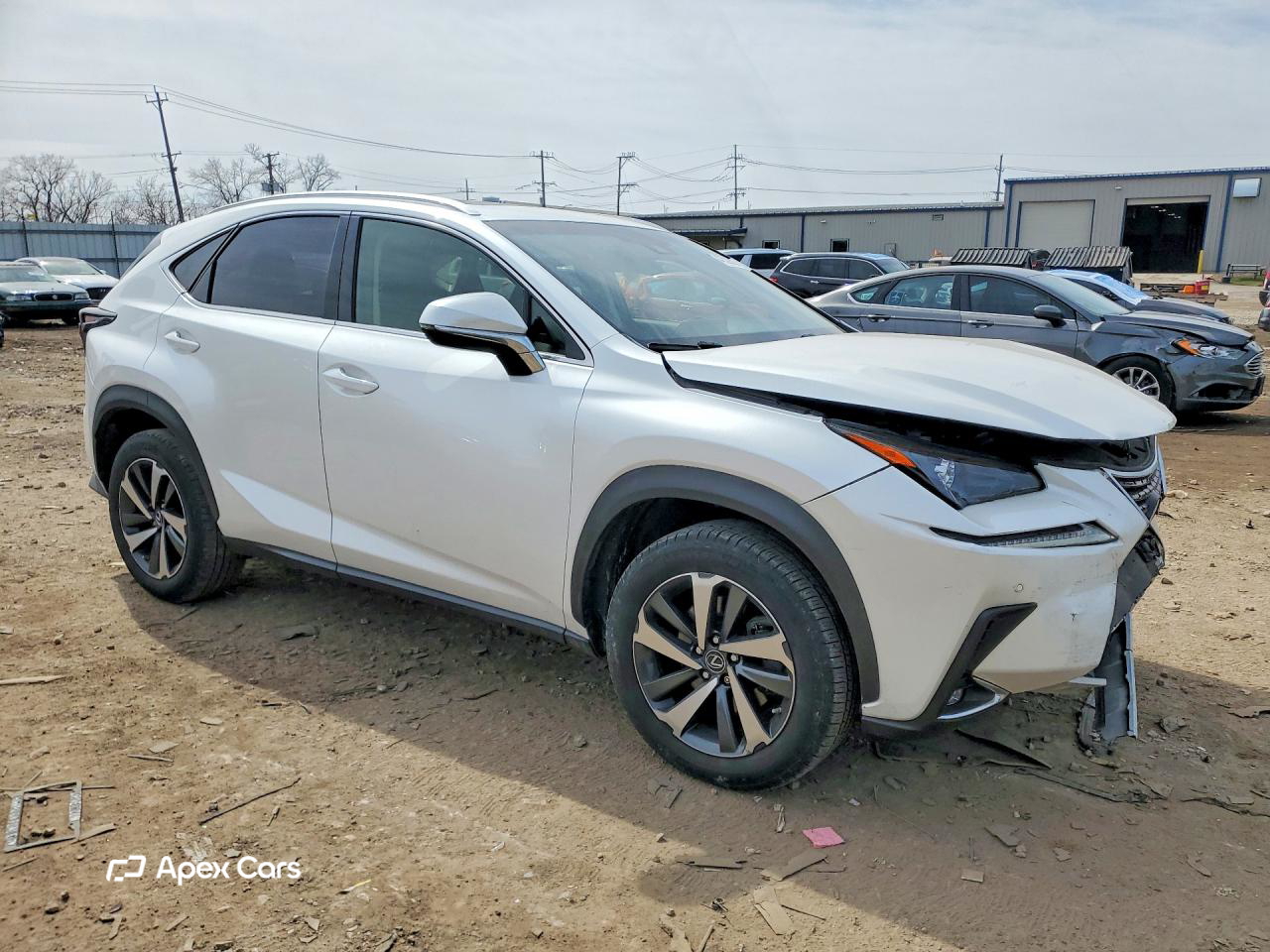 Lexus NX 2019