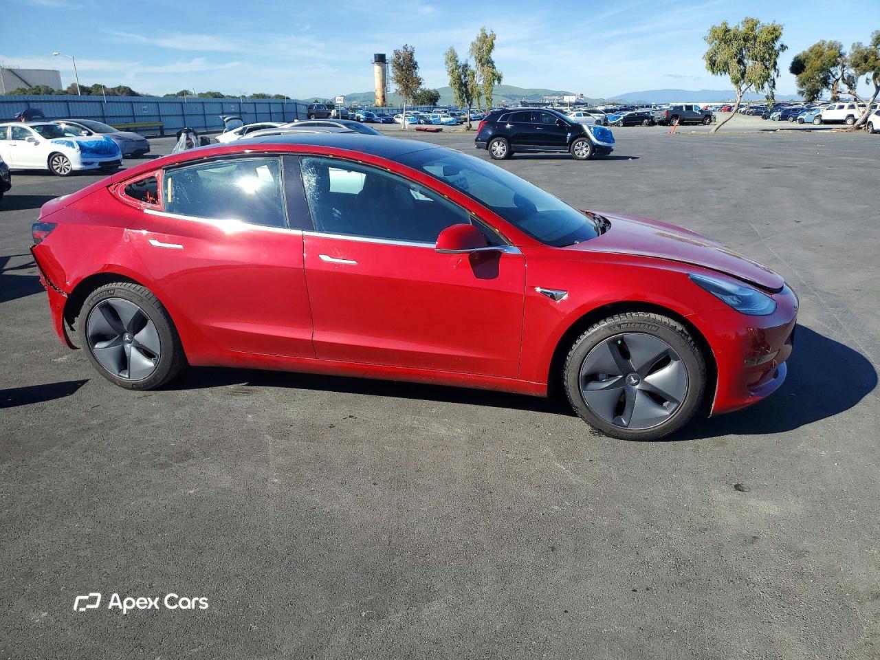 Tesla Model 3 2019
