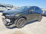 Lexus NX 2024