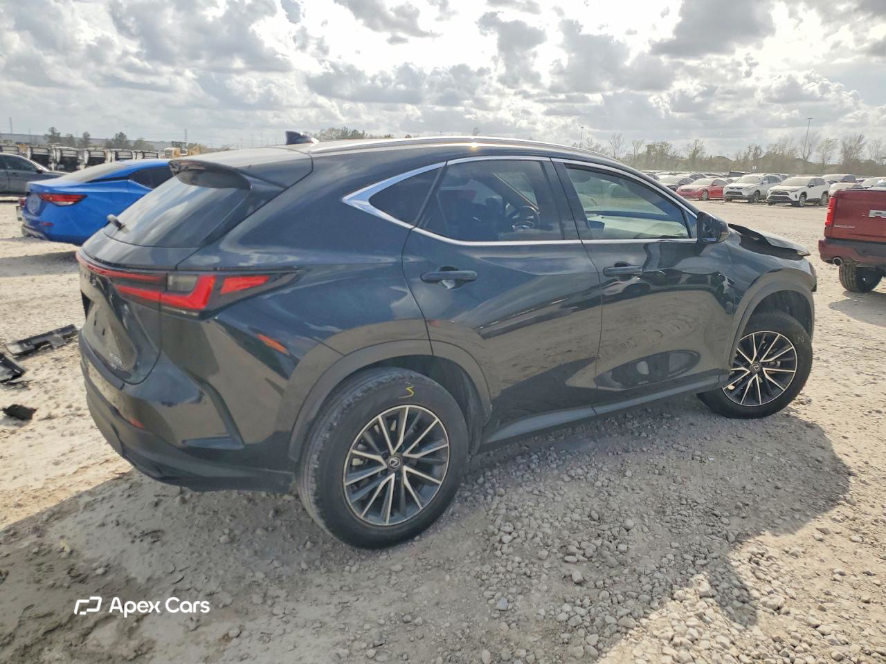 Lexus NX 2024