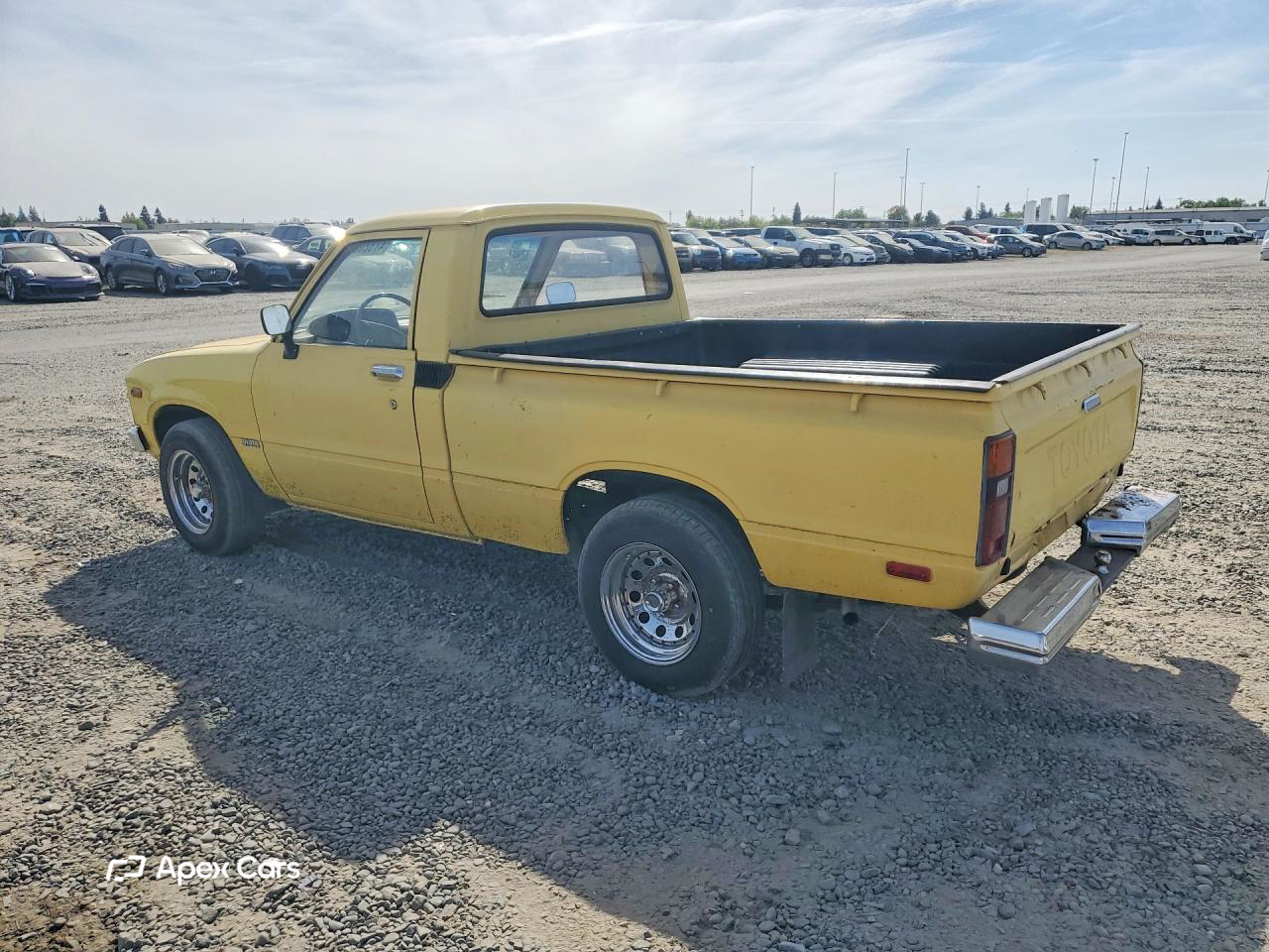 1981