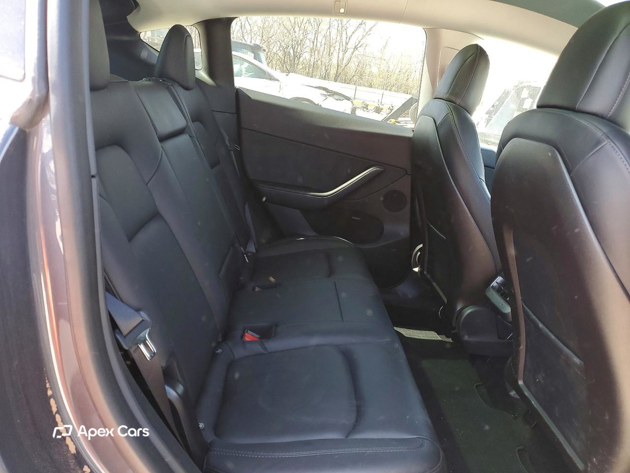 Tesla Model Y 2020