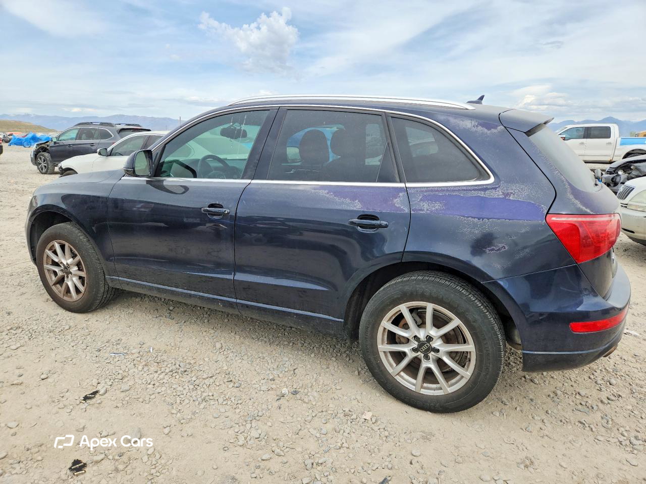 Audi Q5 2010