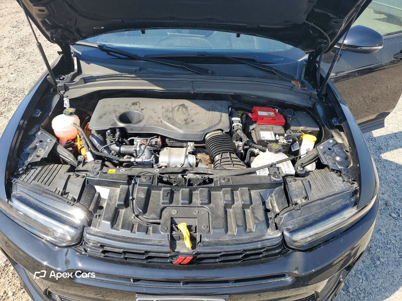 Dodge Hornet 2024